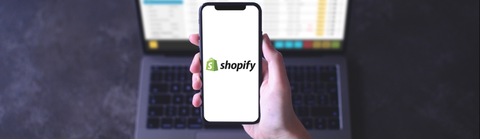 Erply Overview: How to Begin Building Your Web Store with Shopify? blog post cover image